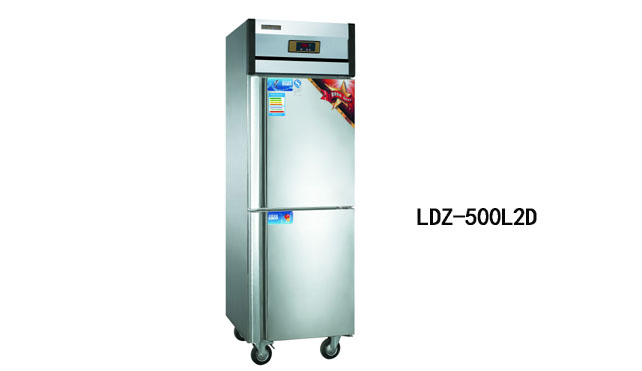 Kangting Luxury Double Temperature Vertical Refrigerator