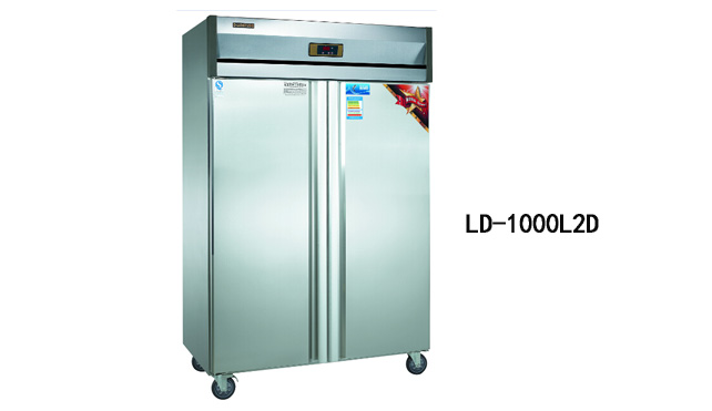 LD-1000L2D