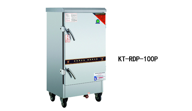 KT-RDP-100P